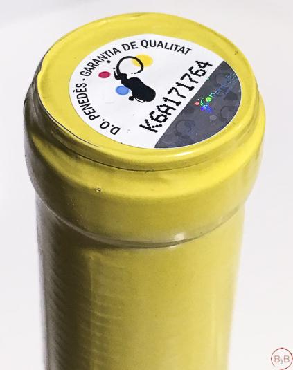 Cosmic 2015 (D.O. Penedes)