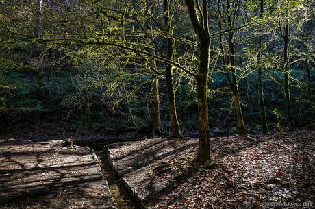 La desembocadura de la fuente