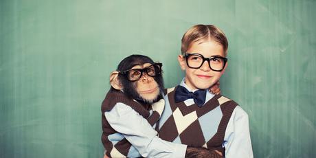 Mentor Monkey, el juego que ayuda a realizar los sueños de los jóvenes