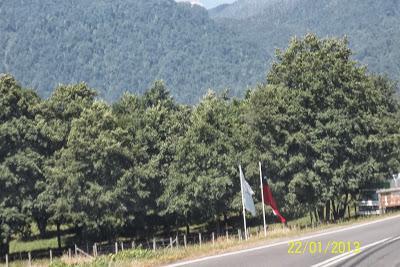 Paso Cardenal Antonio Samoré