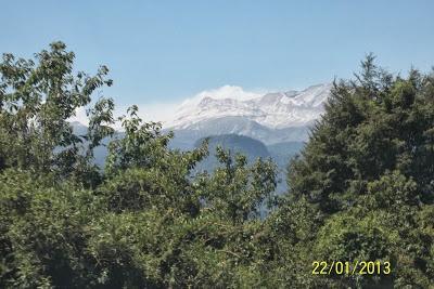 Paso Cardenal Antonio Samoré