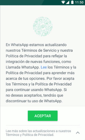 Terminos de whatsapp