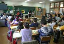 Los efectos de la atención negativa de los maestros sobre la conducta de los niños Los perros ponen atención a lo que les decimos y cómo lo decimos