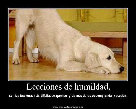 LOS PERROS SON CAPACES DE DECODIFICAR LAS PALABRAS Y ENTONACION DE LAS PERSONAS