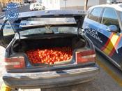 Policía Nacional interviene varios centenares kilos tomates tóxicos iban distribuidos mercadillos Hermanas