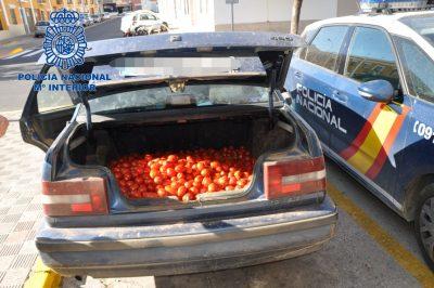 Policia requisa tomates robados