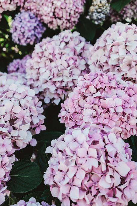 Levis-Live_In_Levis-Biarritz-Big_Festival-Collage_Vintage-5