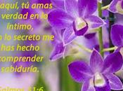 Integridad nuestro interior