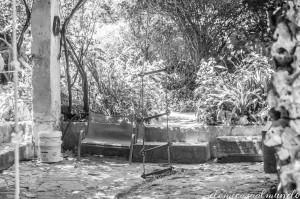 Adiós al jardín Waldorf… Y ahora en primaria ¿qué? DSC02224