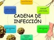 epidemia fiebre amarilla controlada para llegaron (todas) vacunas