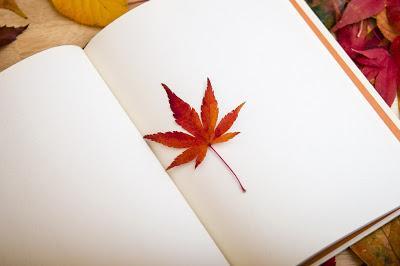 ¡Los marcapáginas de tu libro gratis contratando nuestro Pack Editorial!