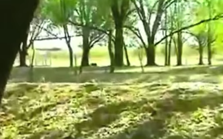 ASI SURGIO MOTHERSHIP: Ya tiene mas de 1 millon 300 Mil visitas en Youtube (+VIDEOS)