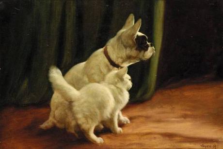 cat-and-dog-arthur-heyerjpg-jpeg-image-750504-pixels-1404937012_org