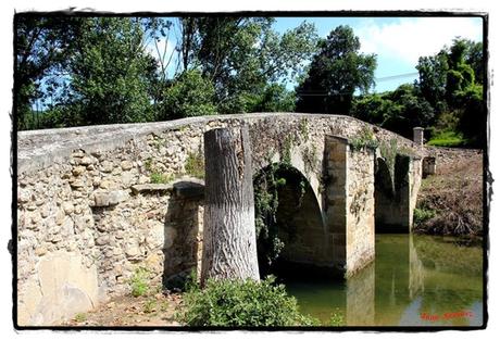 Puente de Venta Blanca