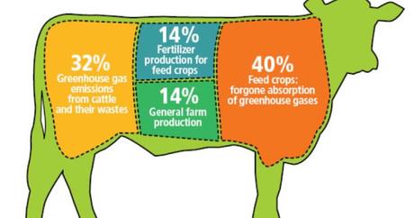 Por un etiquetado del origen de la carne y los lácteos