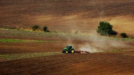 Por un etiquetado del origen de la carne y los lácteos