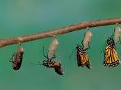 [Página ¿Qué pintamos aquí?