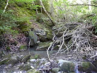 O Saldo del Río Escarra (Valle de Tena-Alto Gállego)