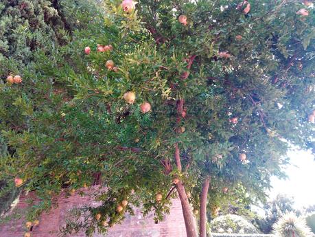 EL GENERALIFE , GRANADA, A LA BARCELONA D' ABANS, D' AVUI I DE SEMPRE...2-09-2016...!!!