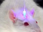 Accionar interruptor para poner dolor