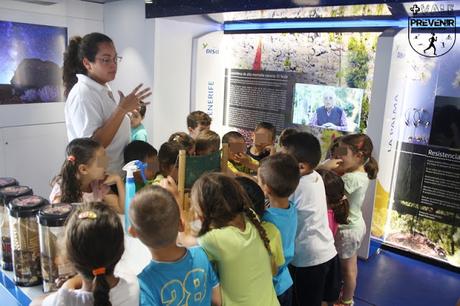 fundacion disa escuela verano