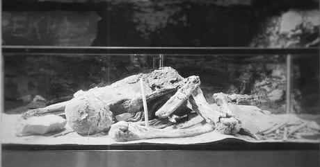 «Fawn Hoof» La enigmática momia egipcia descubierta en Norteamérica