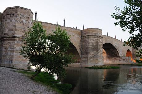 Bodypaint puente de piedra (Zaragoza)