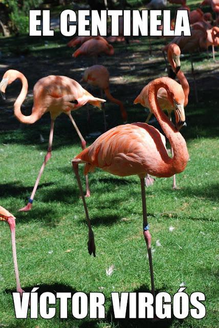 EL CENTINELA -RELATOS CORTOS-