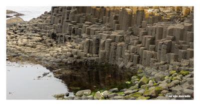 Por el verde de Irlanda