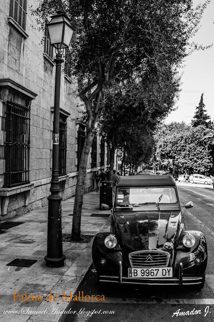 CALLEJEANDO POR PALMA DE MALLORCA