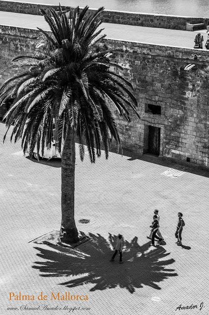 CALLEJEANDO POR PALMA DE MALLORCA