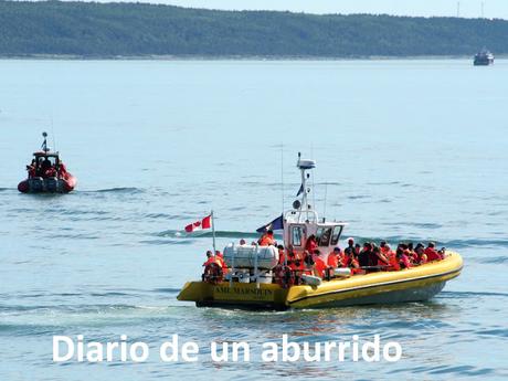 Québec (1): Las ballenas de Tadoussac y otras visitas interesantes al norte de la ciudad de Québec