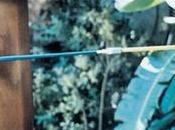 limite capacidades humanas: