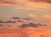 vacaciones: Lecturas finalizadas