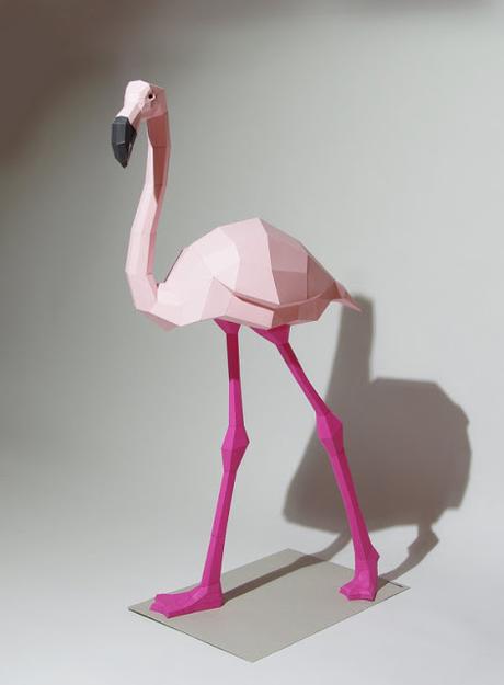 Flamencos / Flamingos