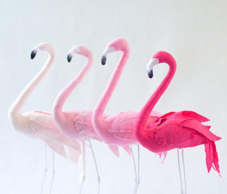 Flamencos / Flamingos