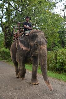 Cultura_Turismo_Fotografía_Nepal