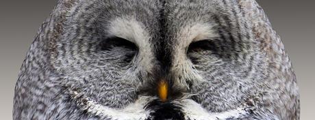 La Felicidad Aumenta Con La Edad