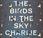 birds sky, Charlie Jane Anders