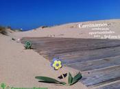 Agenda actividades “Crecer Futuro” para Septiembre; Soñando Estrellas