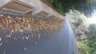 ¿Puntos limpios en Anaga o escombreras- vivero de flora invasora?