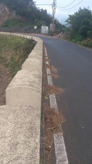 ¿Puntos limpios en Anaga o escombreras- vivero de flora invasora?