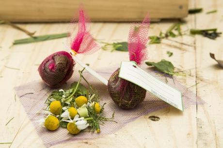 Tratamientos naturales para la endometriosis Tratamientos naturales para la endometriosis