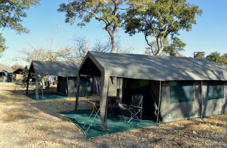 Safari en Botswana