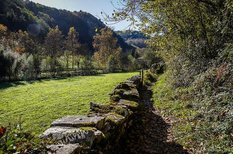 De regreso con el sol