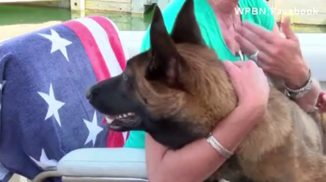 Un perro cayó al agua desde un bote y nadó seis millas hasta la orilla