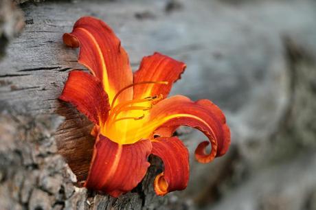 ¿Qué factores afectan la comodidad de los lentes de contacto?