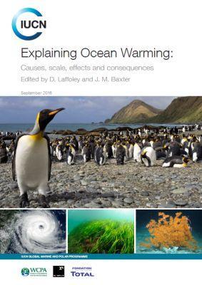 Explicando el calentamiento oceánico: Causas, escala, efectos y consecuencias