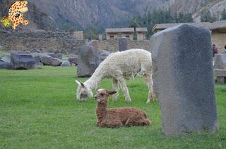 Qué ver en el Valle Sagrado - Perú?