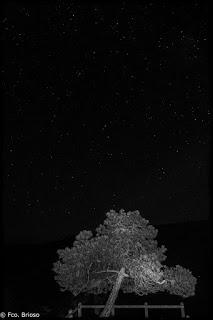 Nocturnas desde el Barranco de La Hoz